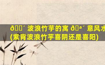 🐴 波浪竹芋的寓 🪴 意风水(紫背波浪竹芋喜阴还是喜阳)